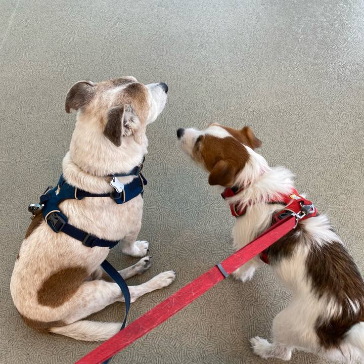 C103905f bf83 49fc a424 467e1554d0d7 1650166315607