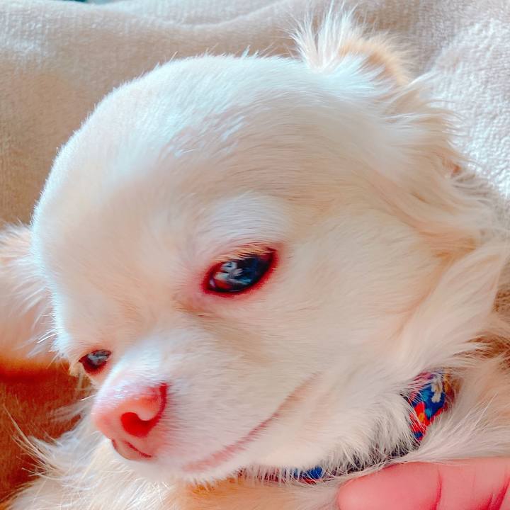 C103b94b fc2a 46e2 b099 36a0b41a56b2 1646457443465