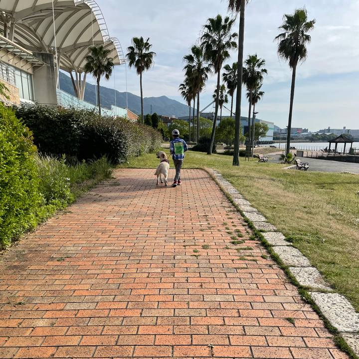 C103d66c 8fb0 4c99 9dba 83d326e7335d 1652517441124