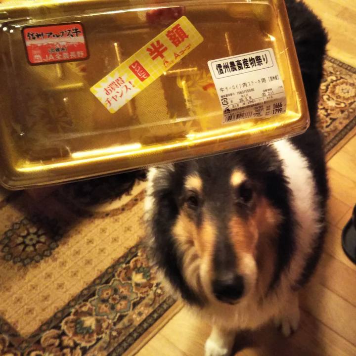 C103f031 84fd 407a 9086 ce5abd371745 1581161938281