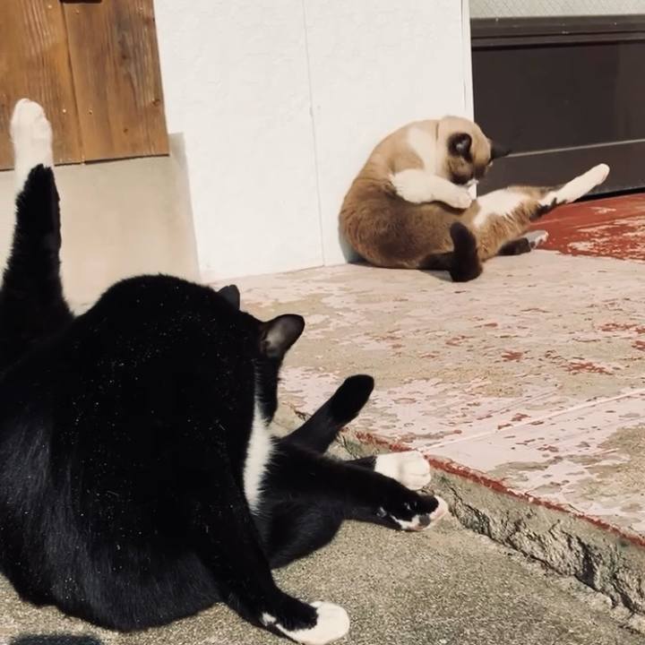 C103f4b3 32b9 4269 b13c b9aefad8587b 1735616129727