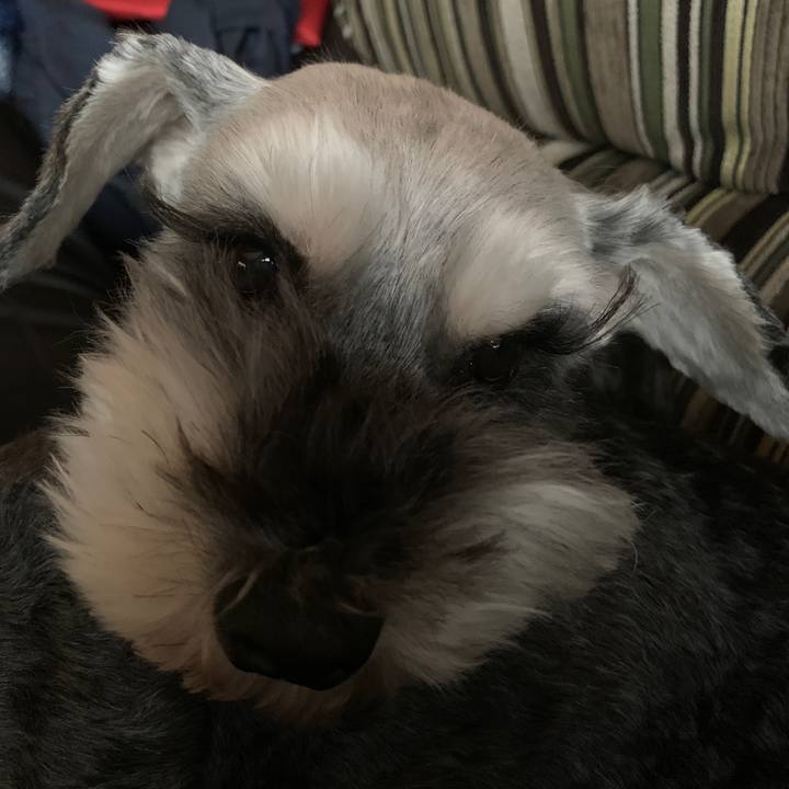 C103fc94 3d52 4139 ab51 dfdc1bad8262 1612767431225