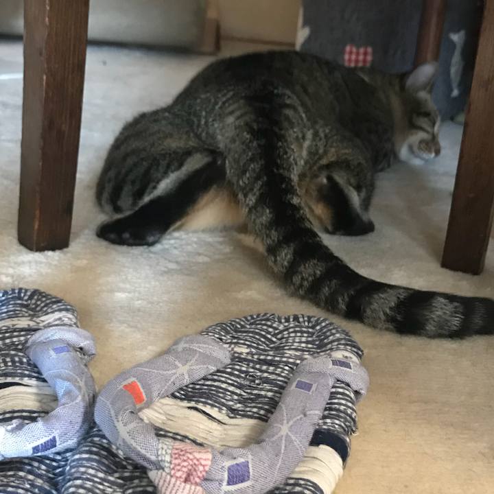 C1041385 6b57 45cb 80b9 ae948a9f5845 1533567294530