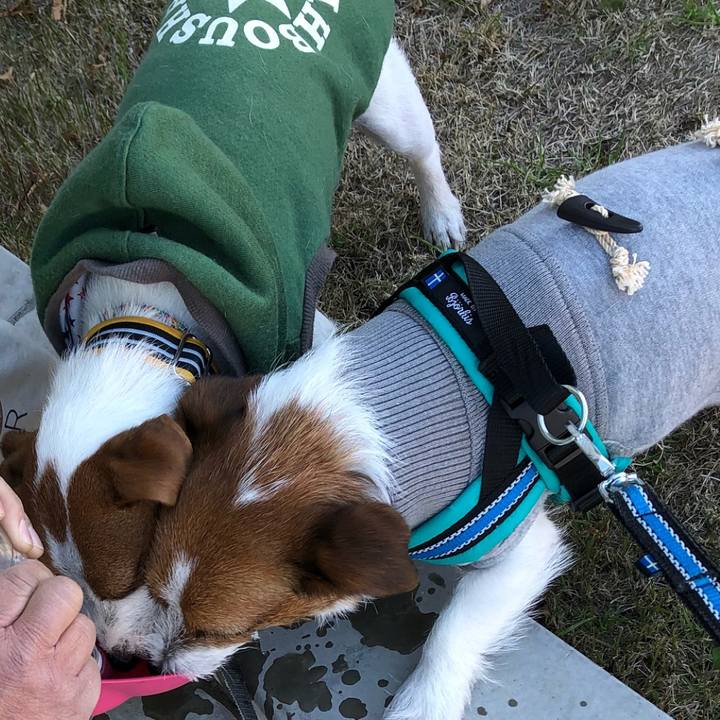 C1042611 7517 40dd 92ab 3c28c6894524 1513596794962