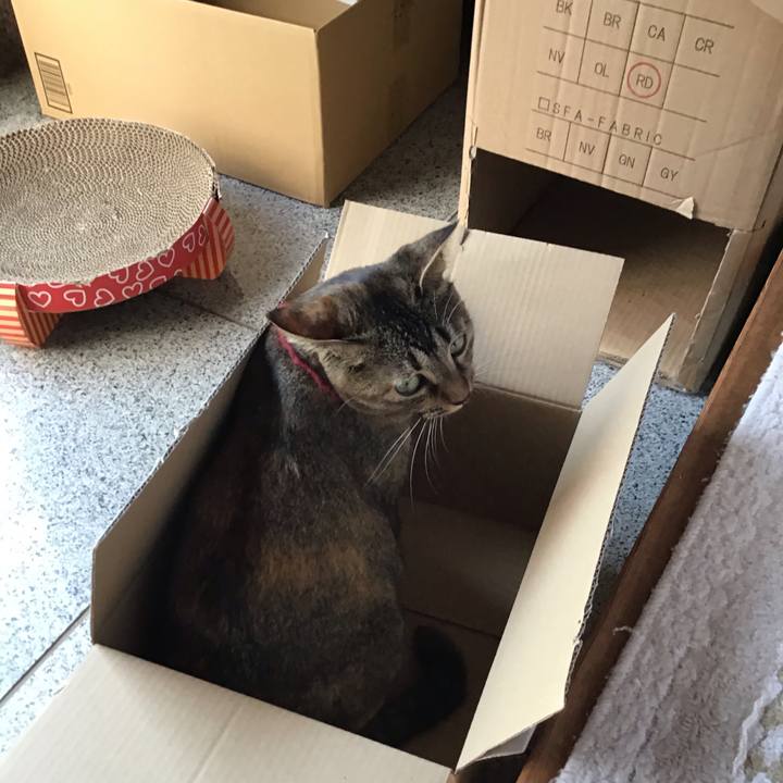 C10442a1 4fb3 4bb3 8c2f 0a9069bc22ce 1601268953118