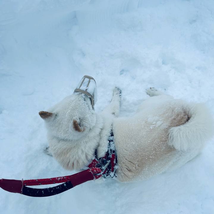 C1044b77 a181 415a ade8 0ac090968069 1704765566374