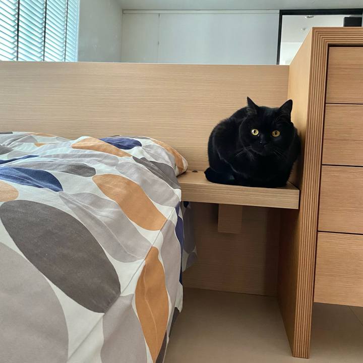 C1046353 04d2 4d30 ab16 56b1de54e31c 1733617183393