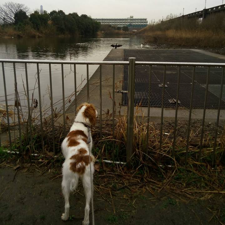 C104840c 025e 464f 87bf 7823c5949cef 1520237497920