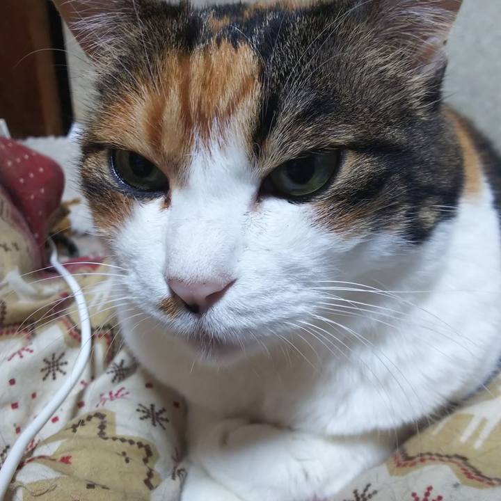 C104986d 6d35 4495 a202 f639a4b488e9 1568929638383