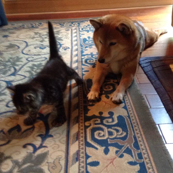 C104bb49 3755 455b a28c 04923351a808 1526450575793