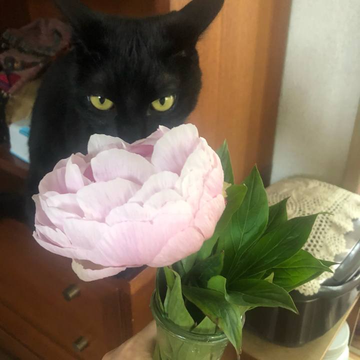 C1051894 7f58 4c28 8396 7d05250a8879 1621555423300