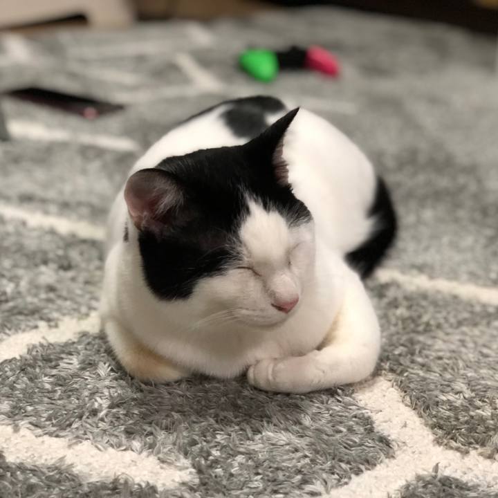 C1055878 6b3c 455f b1d4 455c99de80a6 1557629571510