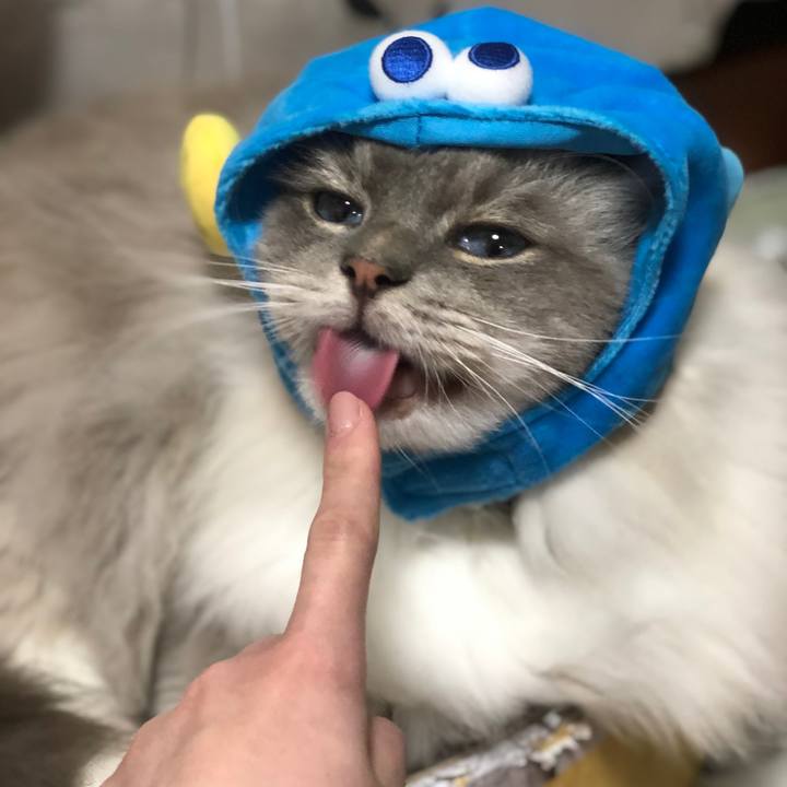 C1055b2f 3fc2 4d82 94eb fd57aa8efdbb 1545661396162