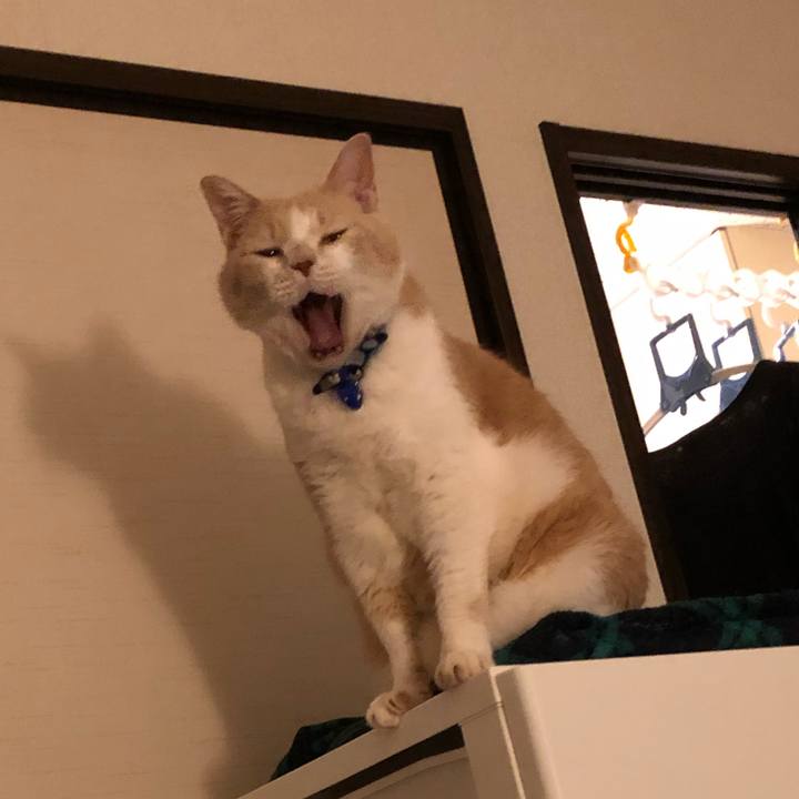 C105861e 73af 43ba 9df8 7971a146b63d 1543148778104