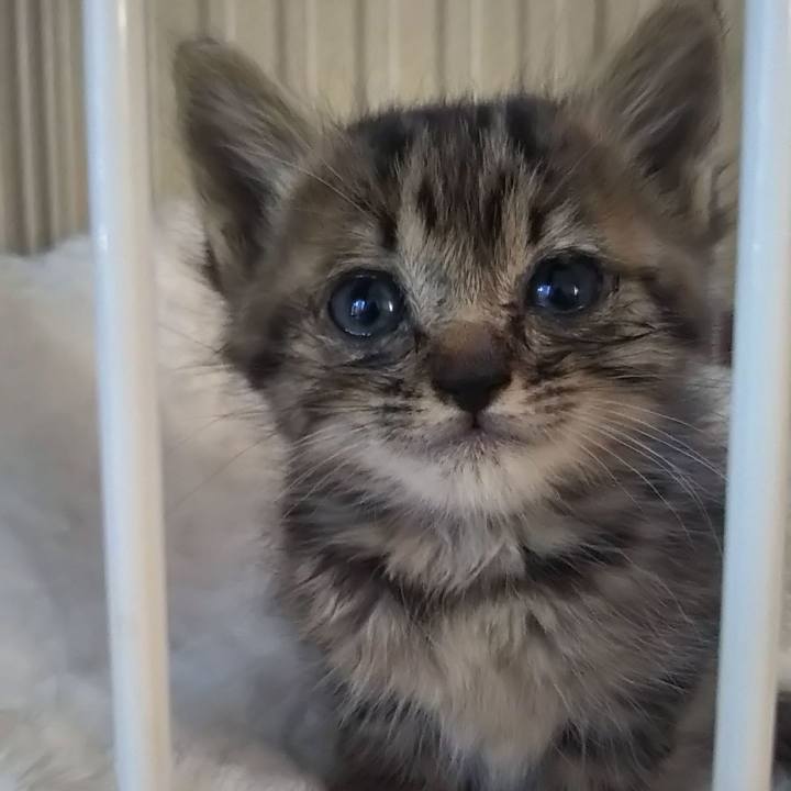 C1058d60 9bd0 4e62 9446 25cd8f6559fb 1632007628562