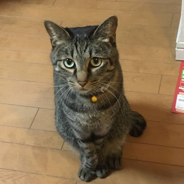 C105aa9b 5413 449c a3e5 6433b869be0c 1583919225994