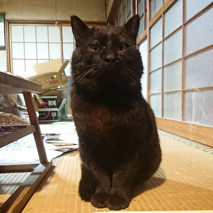 C105bfd0 984c 4825 b9fa c7d0574b5c3c 1617619382207