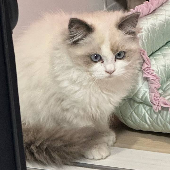 C105c109 0ce0 429a 9eab ffe31be3f851 1773009323082