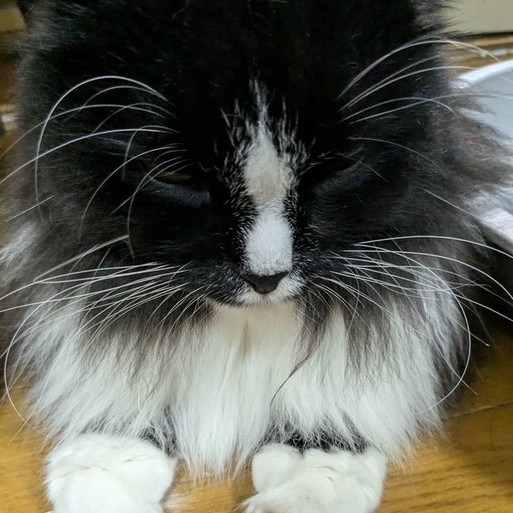 C105d448 1a8c 481a b450 9b91dc0ce8d8 1720963490612