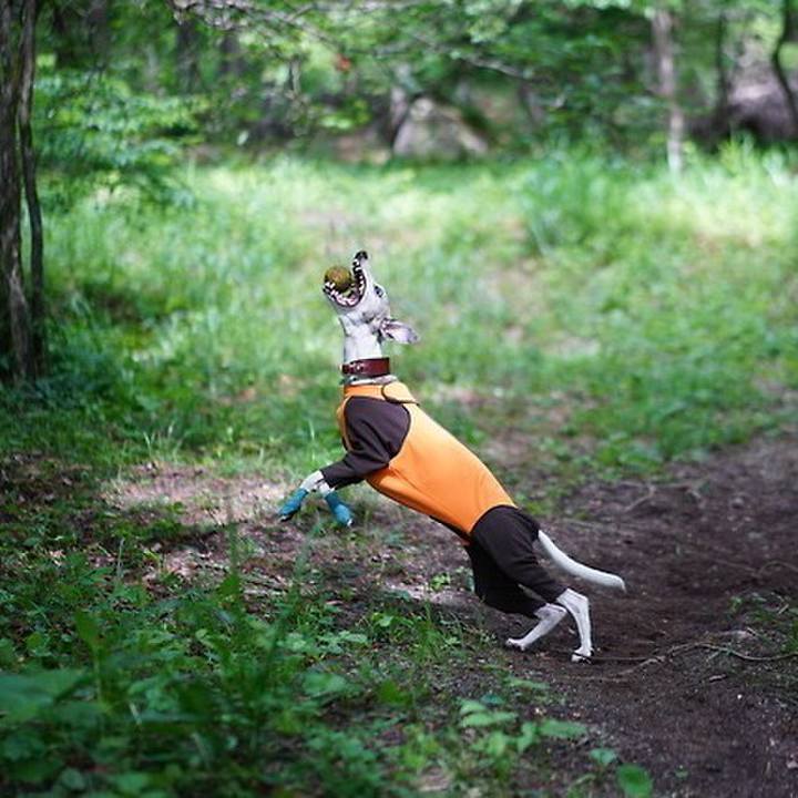 C1061fea 7fd6 4c81 8ffd e5e2b97054a7 1530786612285