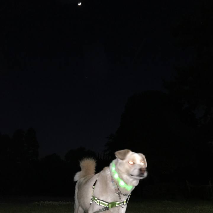 C1064427 e075 485e 85fb 95e54f4c00ae 1524220360200