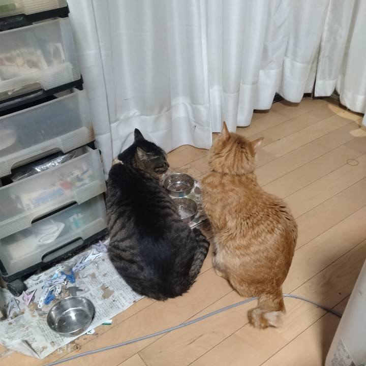 C1067a86 82c2 4896 9fae 6c5439339619 1709680464745