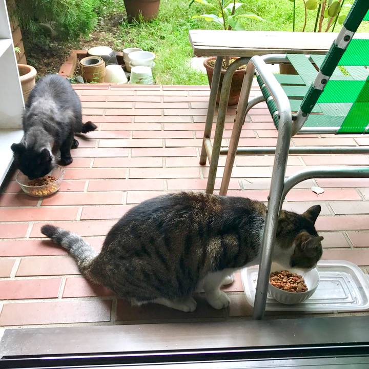 C1067f2e 00d8 447a 8cd2 a97c8b2c9758 1507692099200