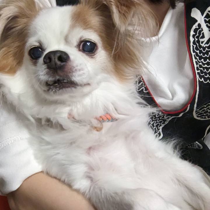 C106b365 d89f 4723 a8a5 5ef551760a44 1674211485478