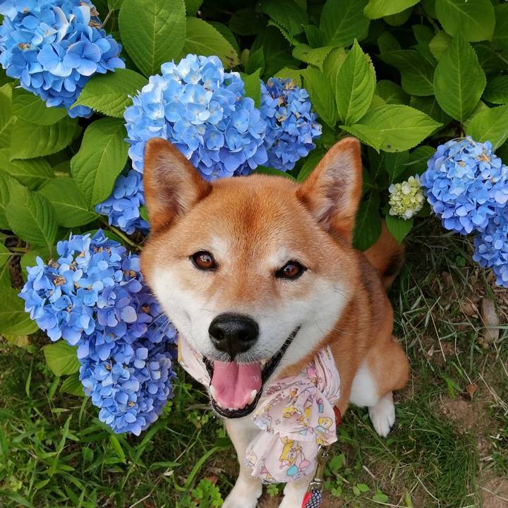 C106b464 7a14 4493 b57a 874bc882b27a 1623397759588