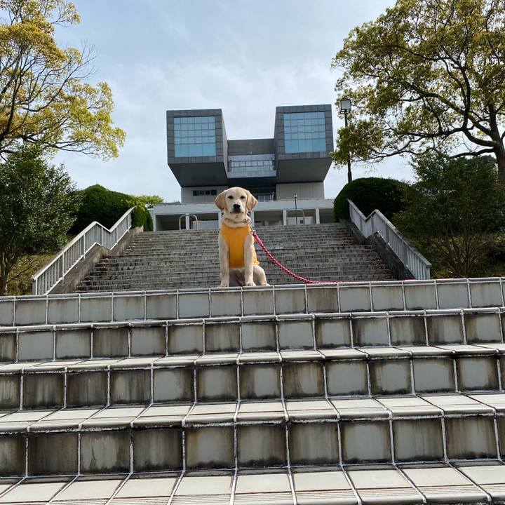 C106bb8b 2329 448b afa4 d66a2714521c 1617258841211