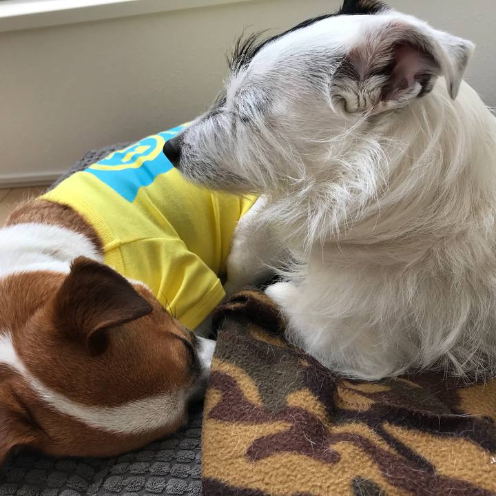 C106c237 f54b 4843 a37b 1b183c661f76 1522124816984