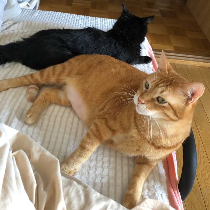 C10735bb cddd 4446 9497 9e7b114aa3d0 1628396332679