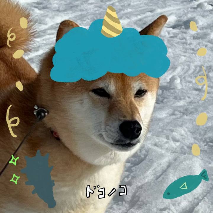 C1073940 4474 43bc a662 134ee6602142 1706884861715