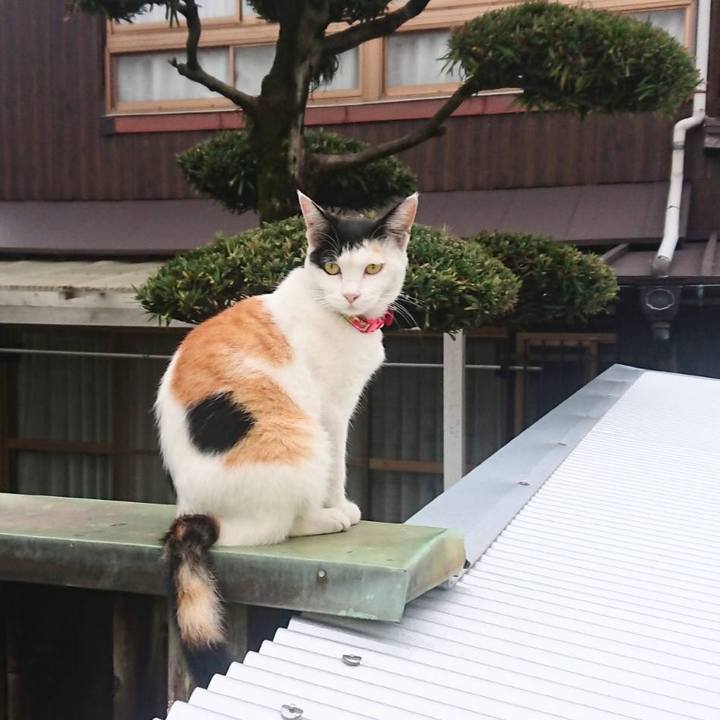 C10764d7 59ca 4d61 8ac5 ffe6a45087b6 1631444273785