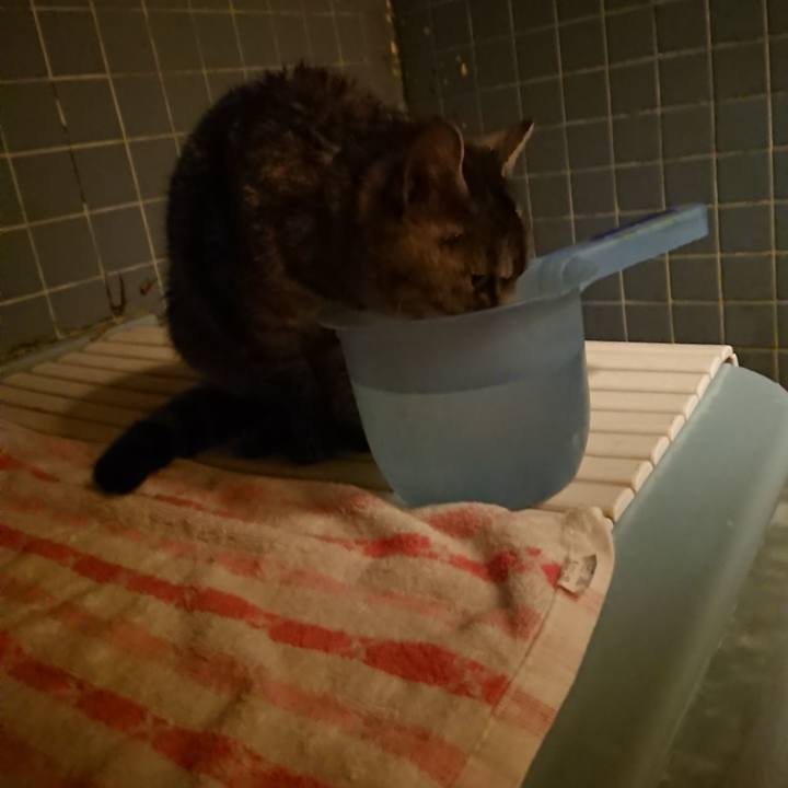 C10770d1 abd7 497e a649 a49325701c6c 1579338853066