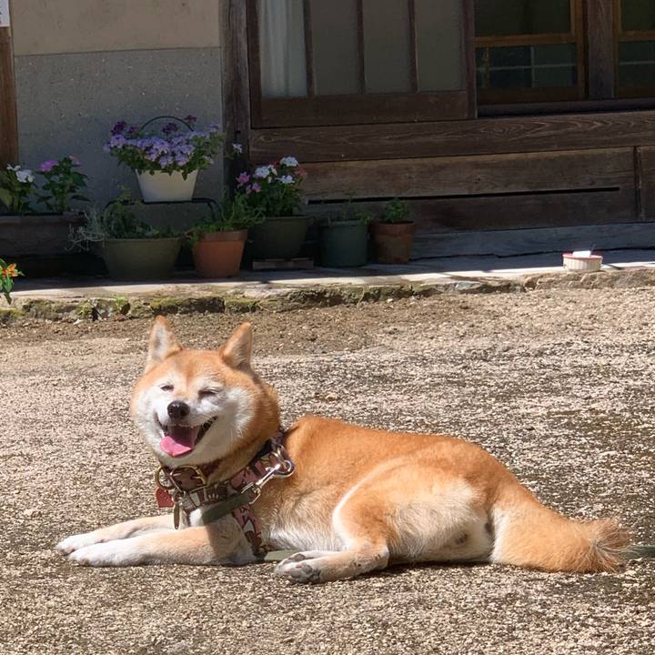 C107c981 f952 4397 88c7 a0f730c2e64a 1656750388769