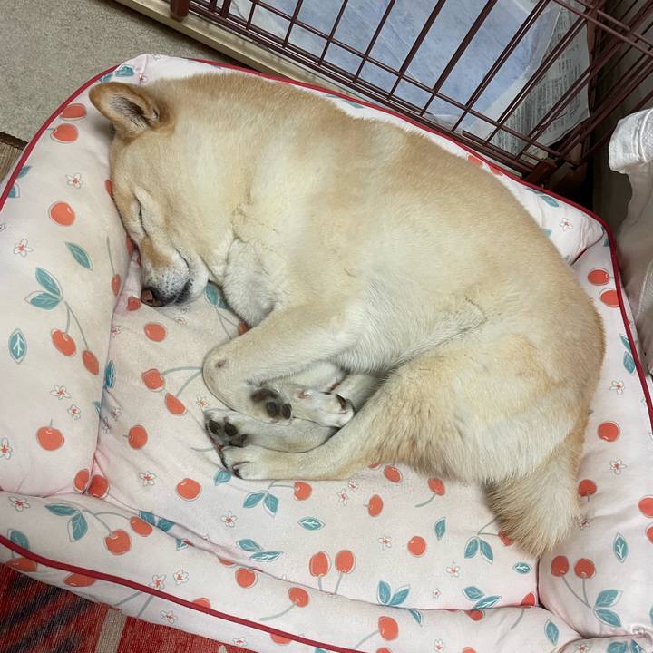 C1081cf9 9404 44bd a35e 0bd68d6aa41f 1745145887973