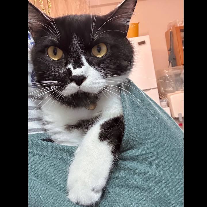 C1084b04 6998 4281 b4c2 bd1d41dc140a 1759136511793