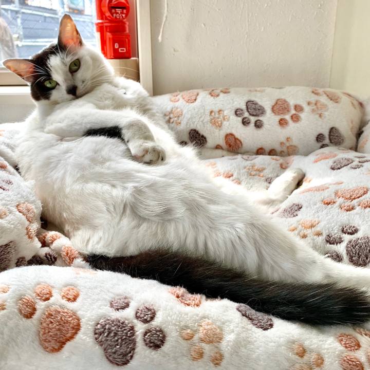 C1085486 cb50 40f3 ae2b 1a9e027f69b4 1571836794339