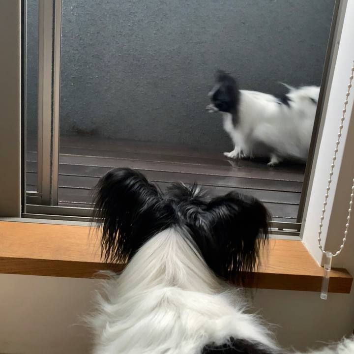 C10875e0 cbcb 4fe2 bffe 7374fb267c6d 1559075119332