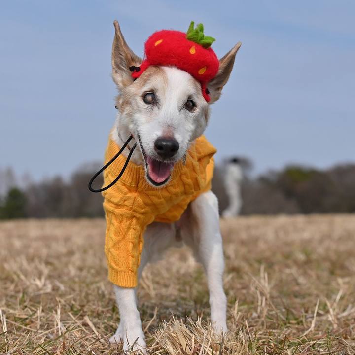 C1089b74 1071 45e7 ae24 2f632fd26d83 1771154642091