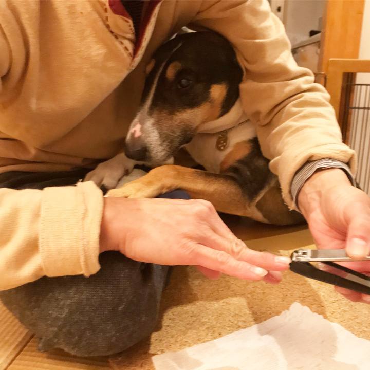 C108b516 594c 4359 a08b 0cb2689694f3 1513508347905