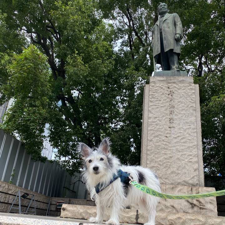 C108cdef 67b7 4eff 8450 88cca5b803ab 1632655018186