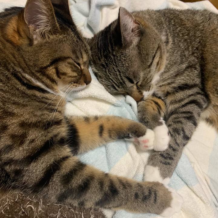 C108d941 277c 4f6f af65 3920179b2aac 1580780052465