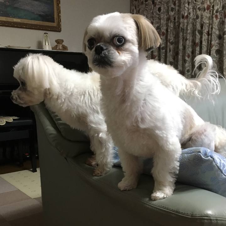 C108f4d1 b778 4327 9b90 2b8b973f9aae 1516695332024