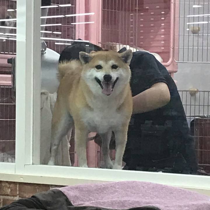 C1092e4d b84a 4eff ab8d dc71ff5d9767 1543061918019