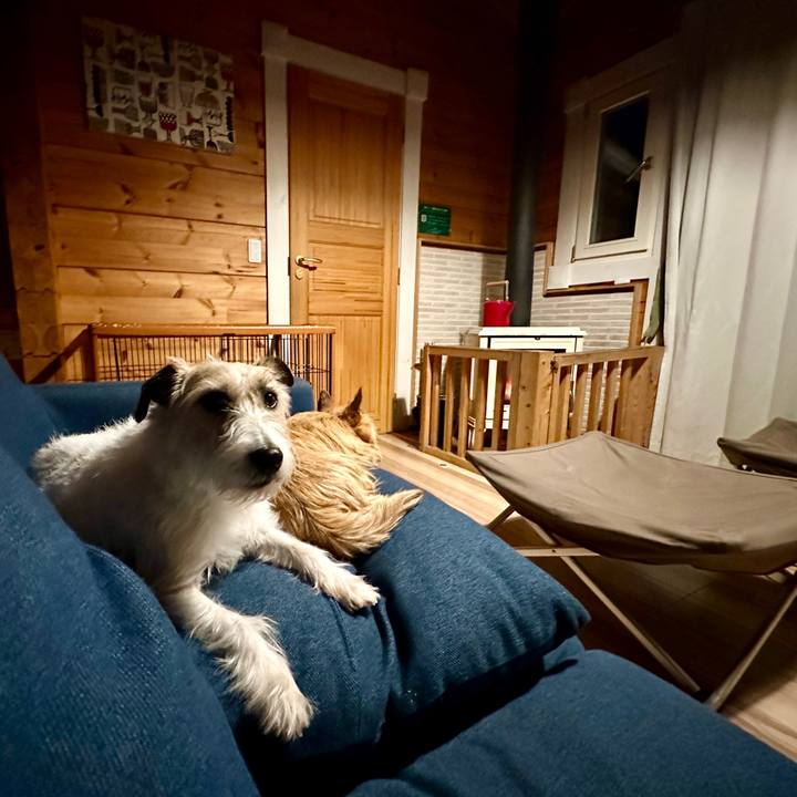 C1095a06 b368 4379 827e a78043f2cb05 1769781104019