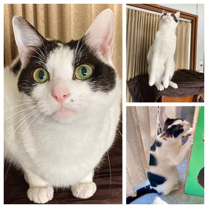 C1099d7c 9cfa 4660 88b7 2ad7c56631ac 1683243850039