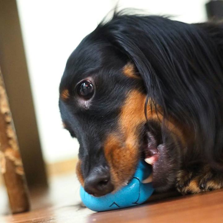 C1099ef3 d6c8 419b 8c68 d5c2c054edbc 1516587615455