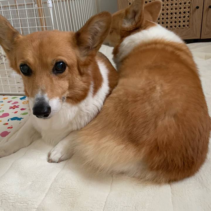 C109b761 40c0 46c6 8995 a540578b6479 1714441468423